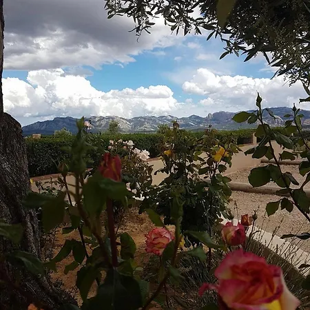 乡村民宿 Ruralracons *