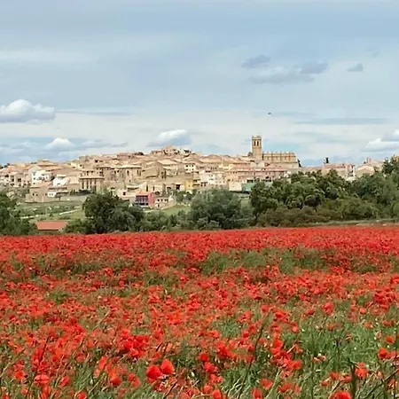 Ruralracons 乡村民宿