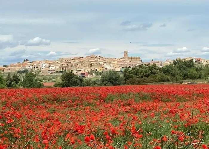 Ruralracons 乡村民宿